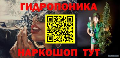 молекула духа Гай